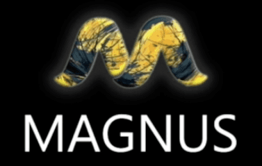 Magnus Cover